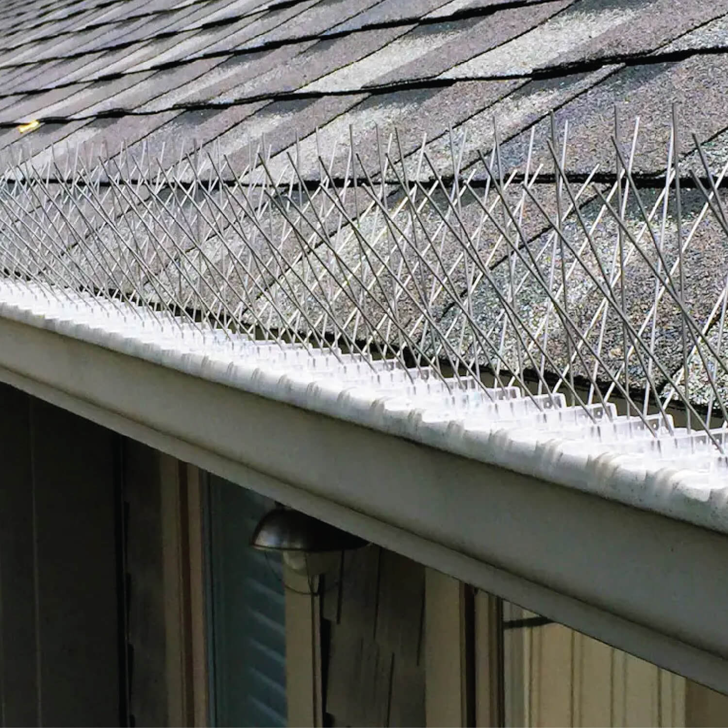 Bird Spike Installation