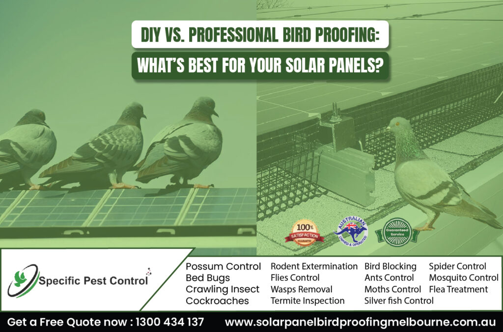 bird protection solar panels