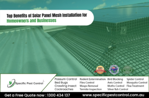 solar panel mesh installation