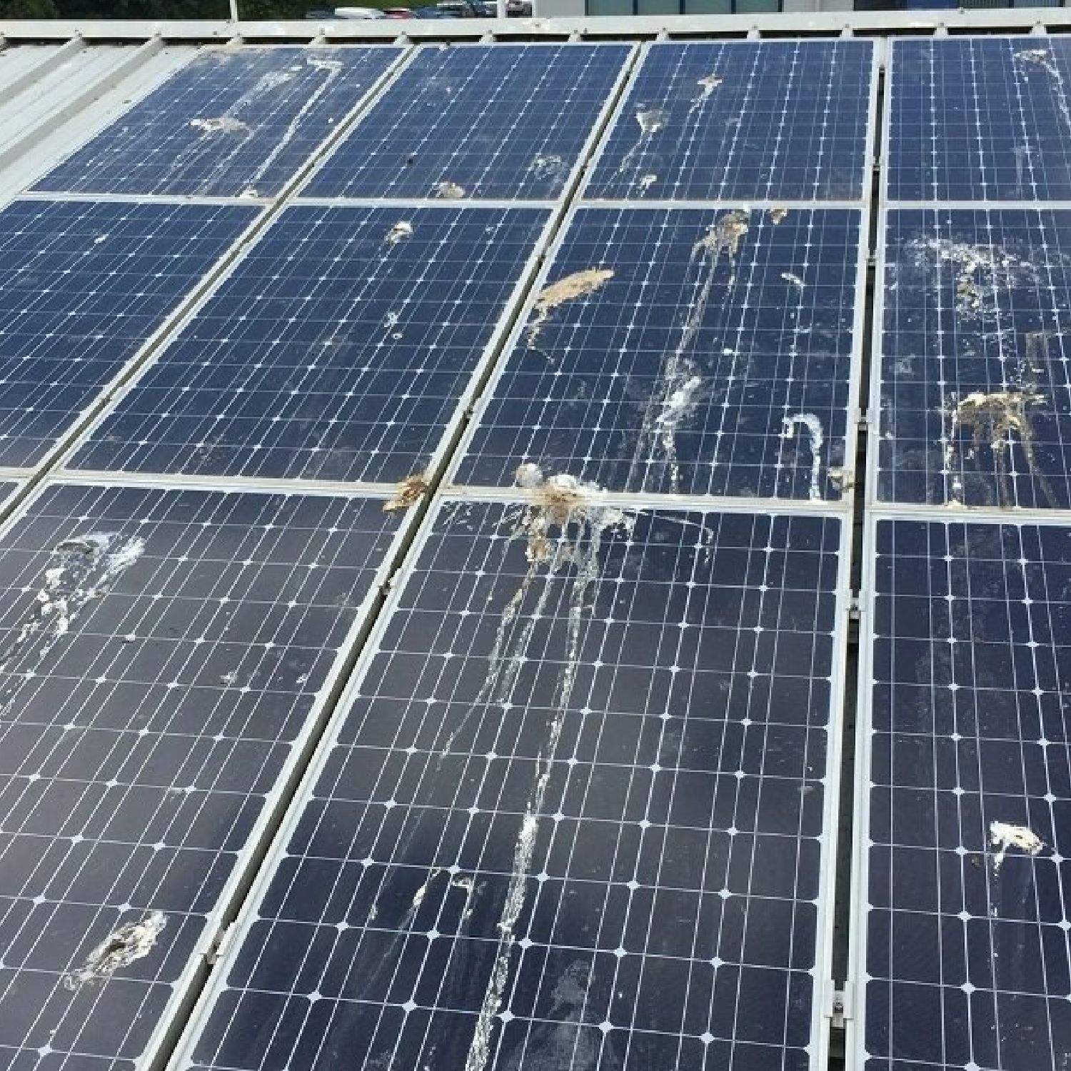 solar panel cleaning company