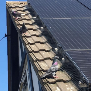 pigeon mesh for solar panels