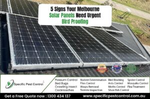 solar panel bird proofing in melbourne