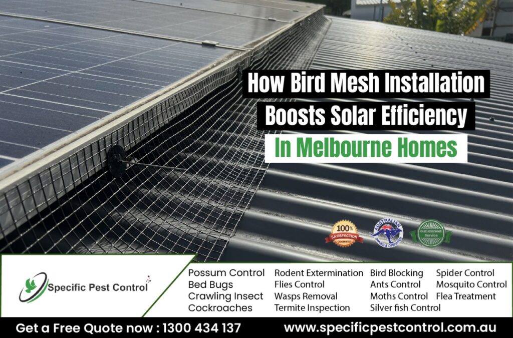 solar panel mesh installation