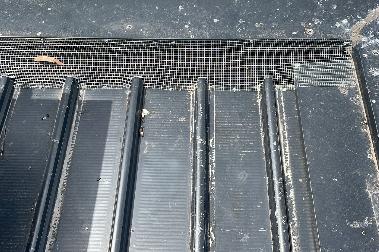 Solar Panel Mash Installation