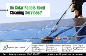 solar panel cleaning melbourne